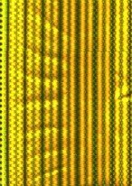 Пленка в рулоне голография золотая70см*20м