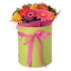 Коробки для цветов