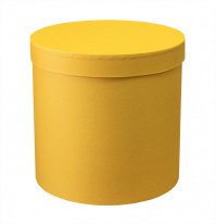 Коробка "Цилиндр" Лимон 25*25см 1 шт. 460000025008