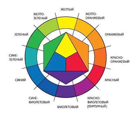 Сочетание цвета во флористике: цветовой круг