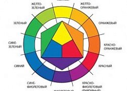 Какой цвет с каким сочетается лучше во флористике