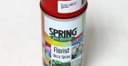 Товары для флористики - КРАСКА, Оазис Vital, пинхолдер, поддоны для оазиса. 