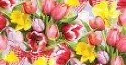 Большое поступление БУМАГИ - мужская, цветочная, детская (Польша)